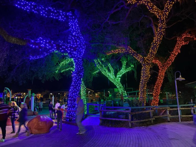 Zoo Tampa Christmas in the Wild Is Affordable for Florida Residents