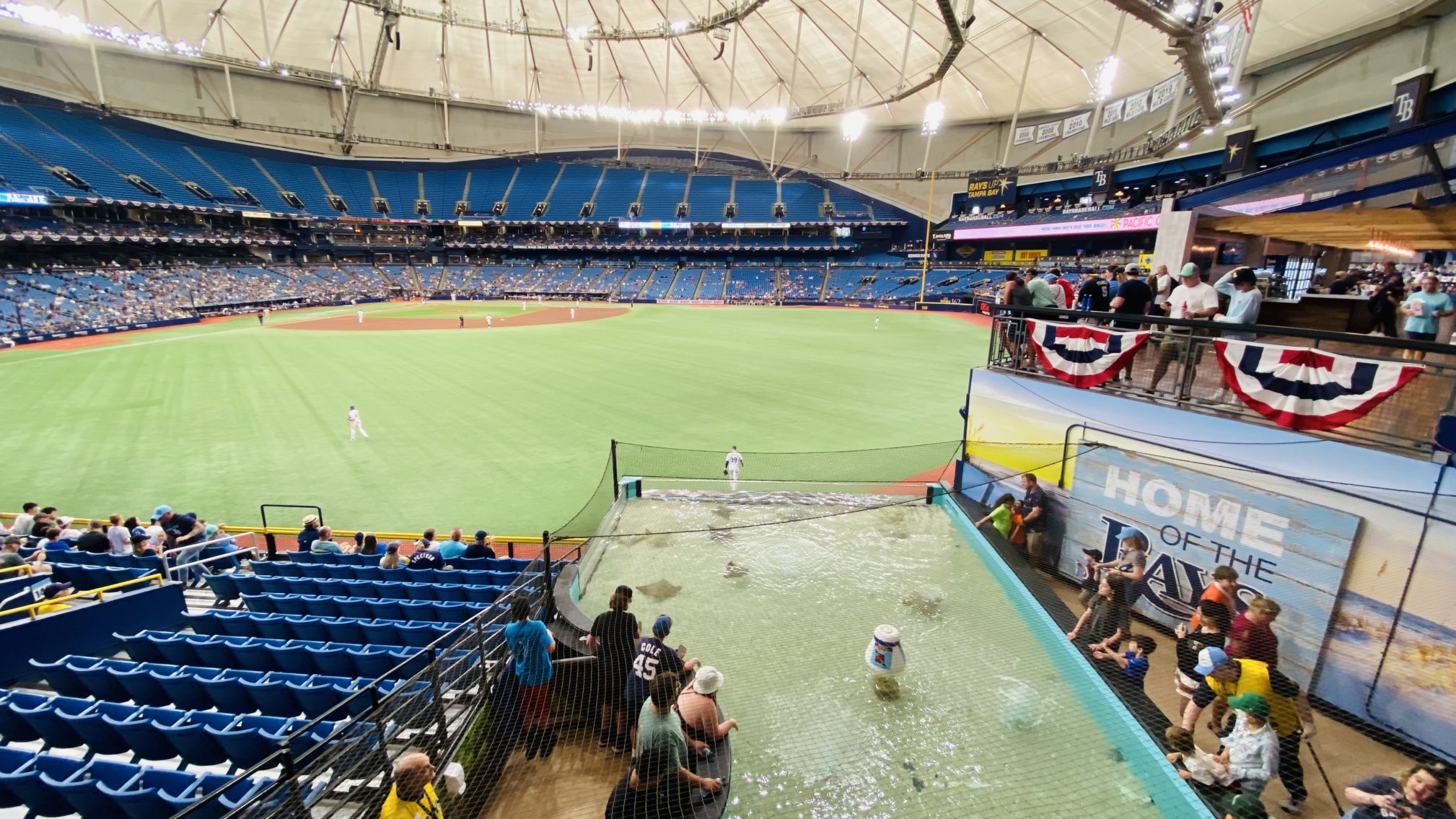 Touching the Rays at Tropicana Field, Florida