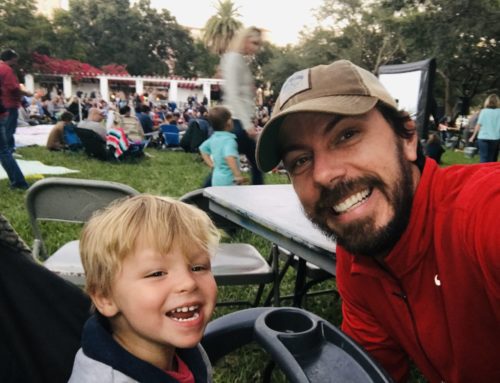 Movies in the Park St Pete