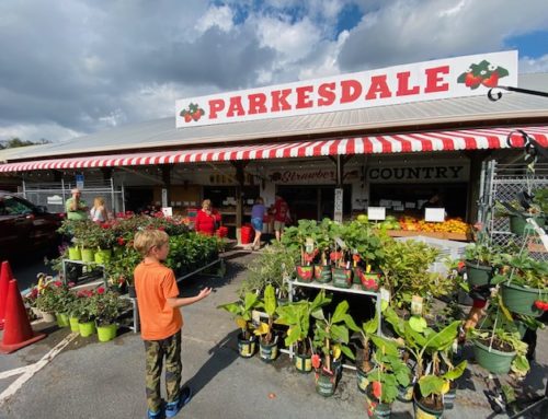 Parkesdale Market & Farms in Plant City Florida - Strawberry Shortcake