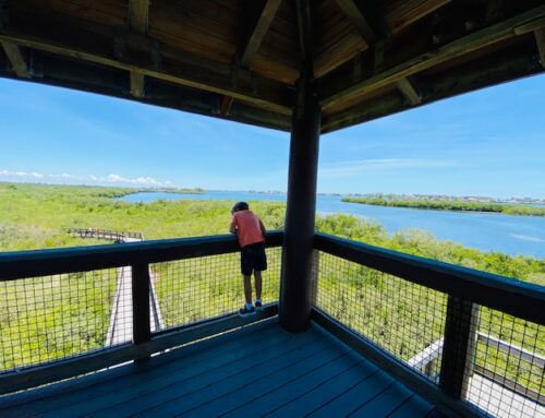 Boca Ciega Millennium Park in Seminole Florida, with Observation Tower, Playground and more