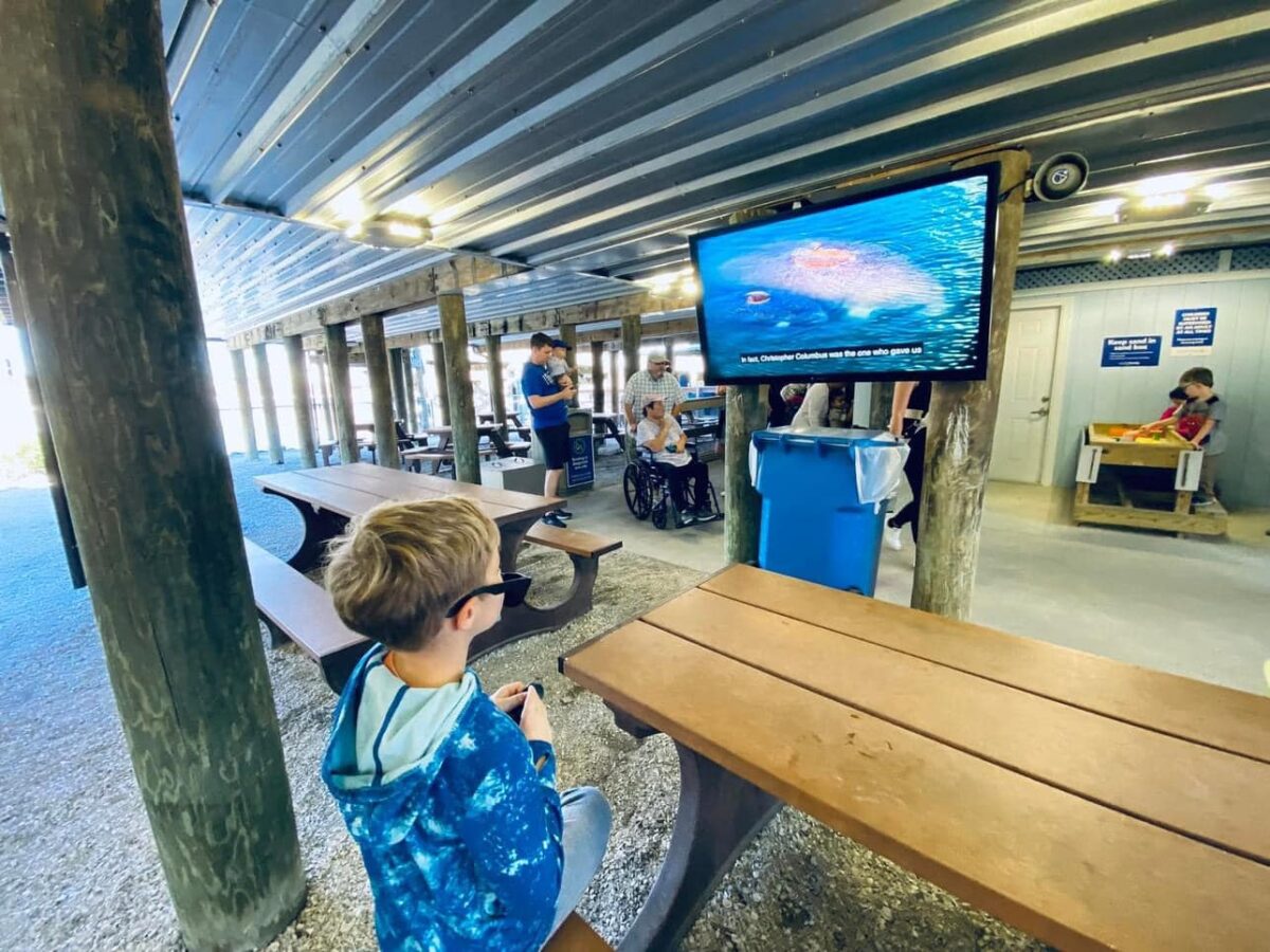 Viewing Center TECO's Manatee Viewing Center is a Quick Daytrip from St Petersburg