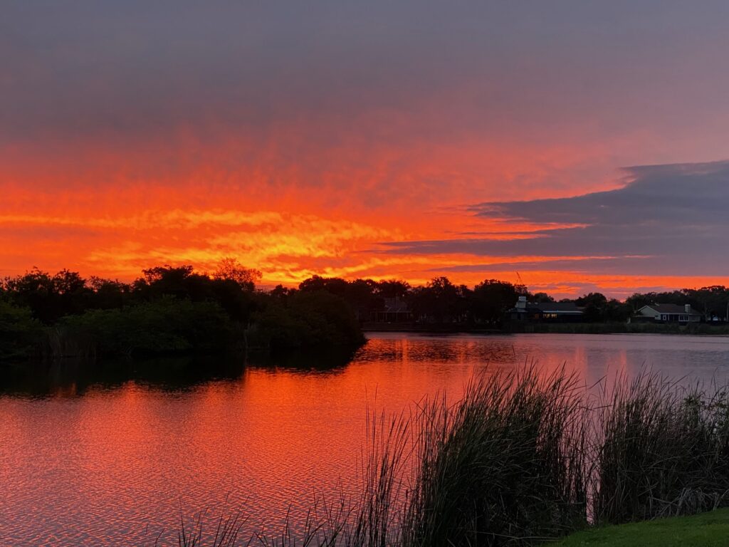 sunrise harbor isle harbor isle st pete