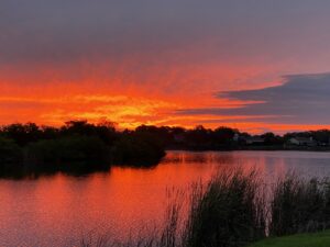 Harbor Isle St Pete